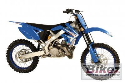 2008 TM Racing MX 300 photo